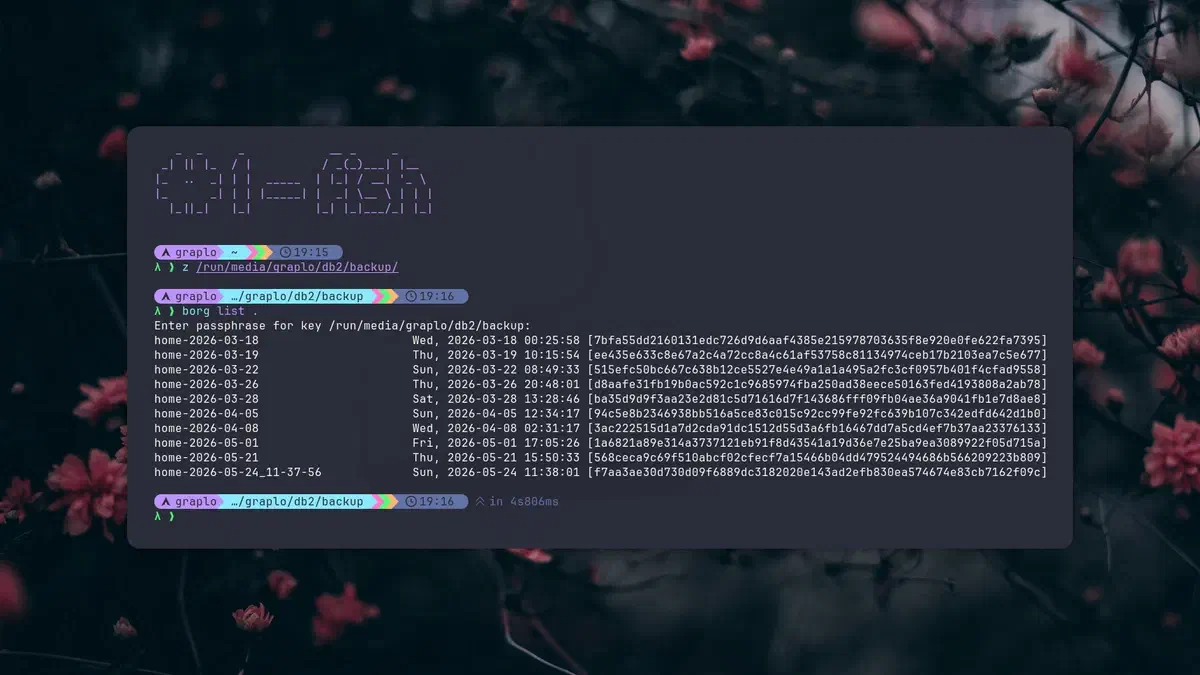Borg: backups serios desde la terminal