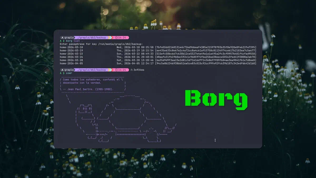 Automatizar backups con Borg desde la terminal